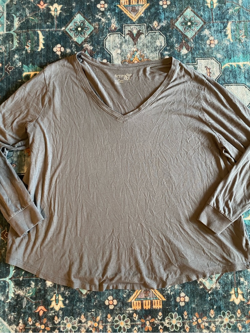 Terra & Sky V-Neck Long Sleeve Top